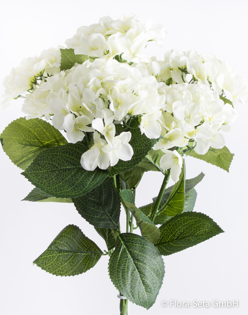 Hortensienbusch mit 7 Blüten Farbe: creme-weiß