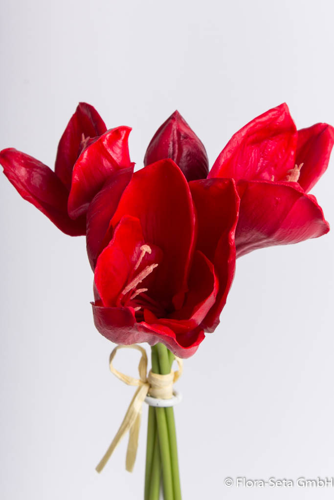 Amaryllis Bündel mit 3 Blüten und 1 Knospe Farbe: rot