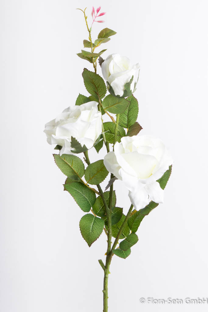 Rosenzweig mit 3 Blüten Farbe: creme-weiß