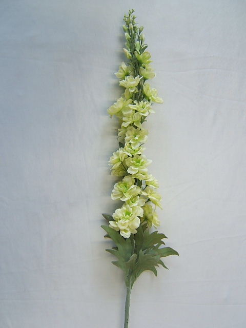 Delphiniumzweig mit 7 Blättern und 40 Blüten/Knospen Farbe:creme-grün