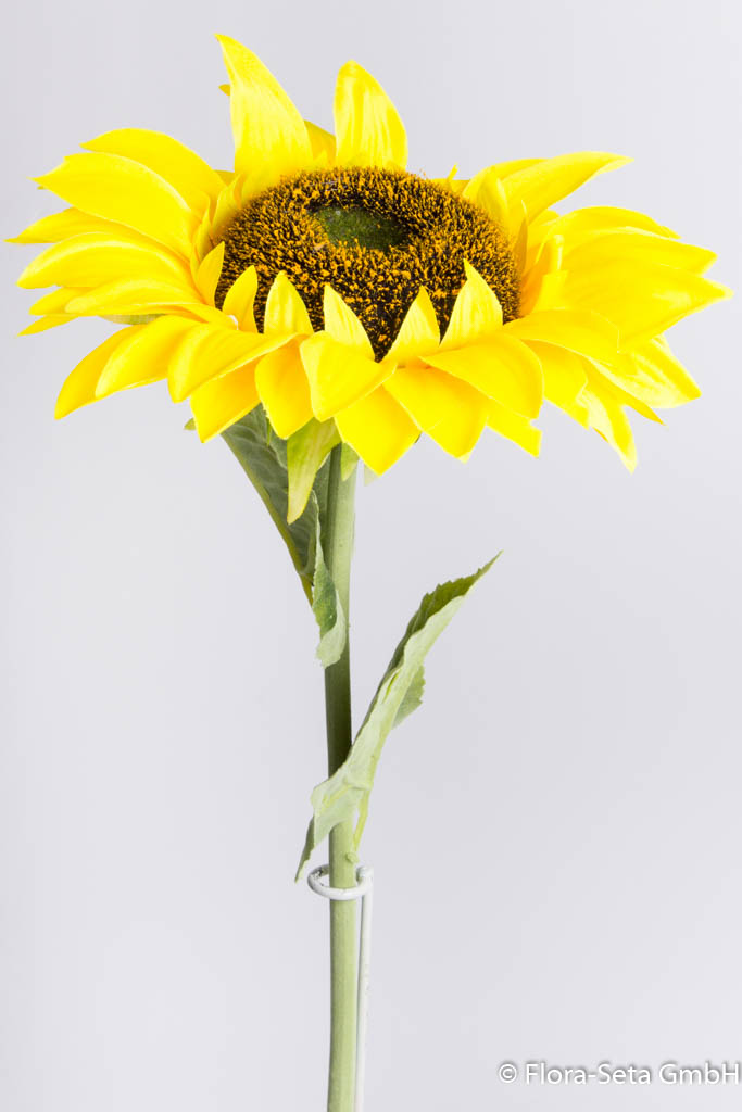 Sonnenblume mit 2 Blättern Farbe: gelb