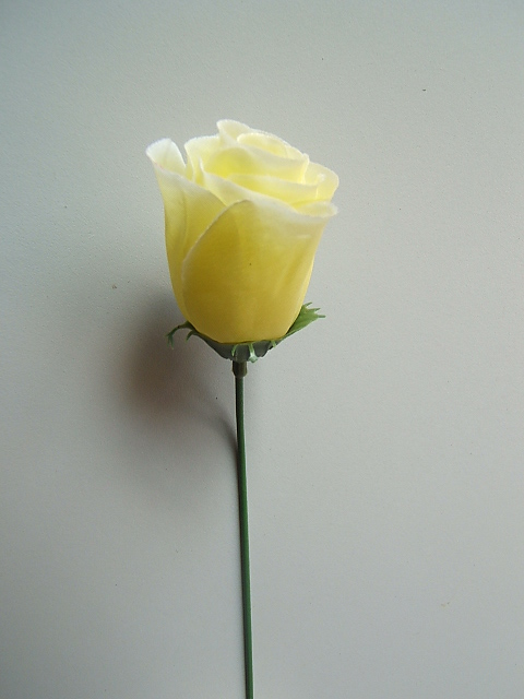 Rose halboffen (1Einheit=72Stück) Farbe:gelb