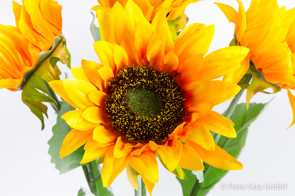 Sonnenblumenstrauß mit 5 Blüten Farbe: gelb