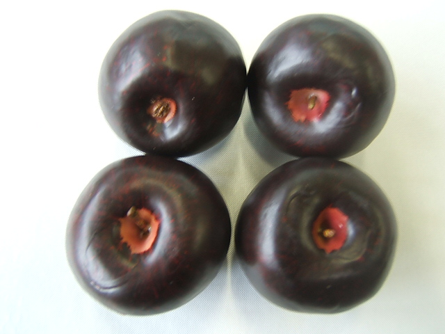 Apfel  dunkel-burgund (1 Einheit = 4 Stück)