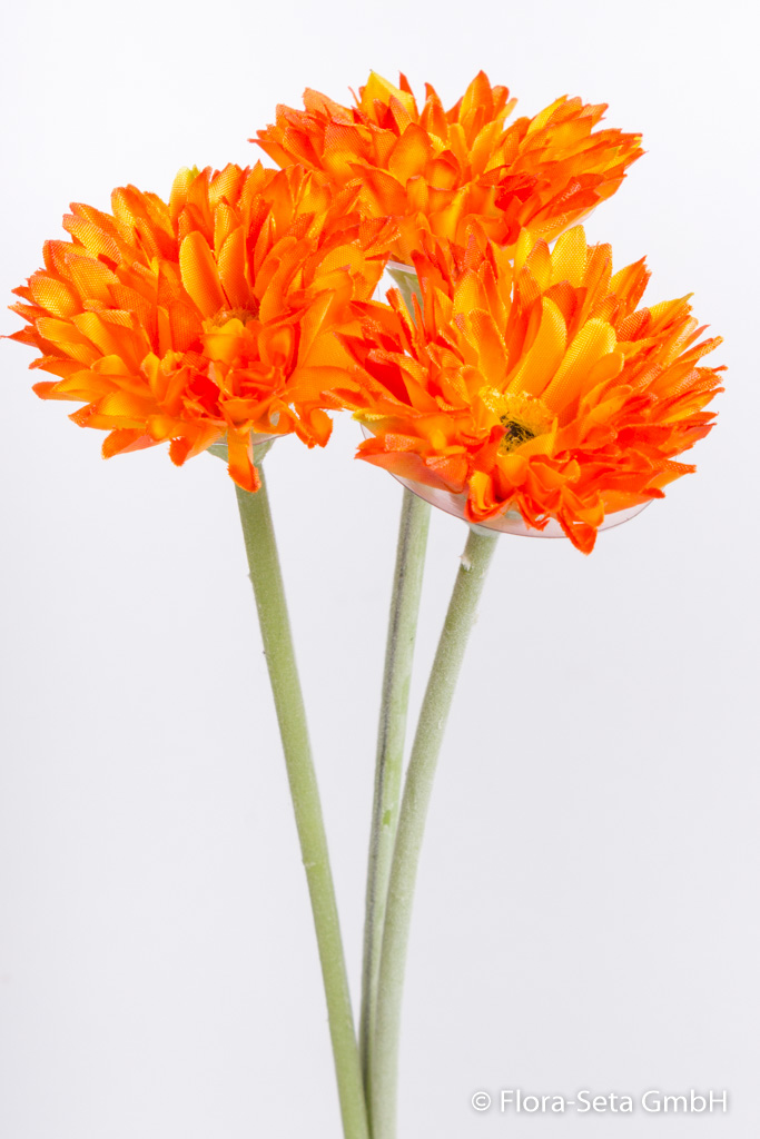 Gerberabündel mit 3 Blüten Farbe: orange