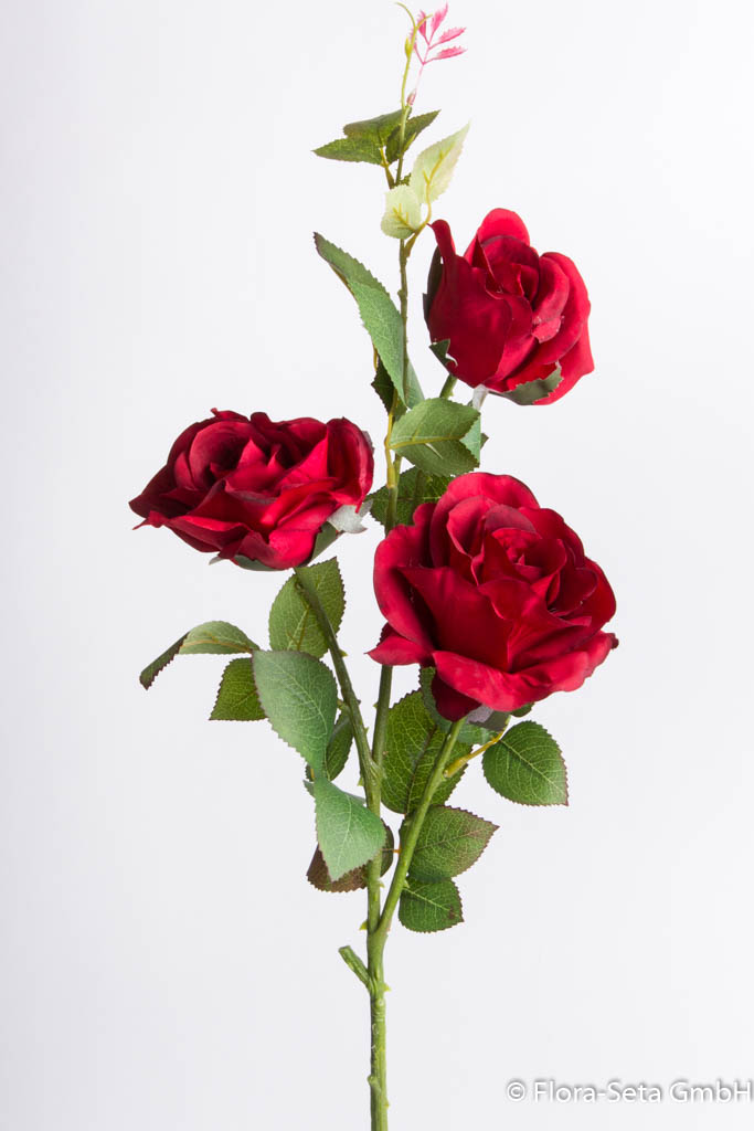 Rosenzweig mit 3 Blüten Farbe: rot