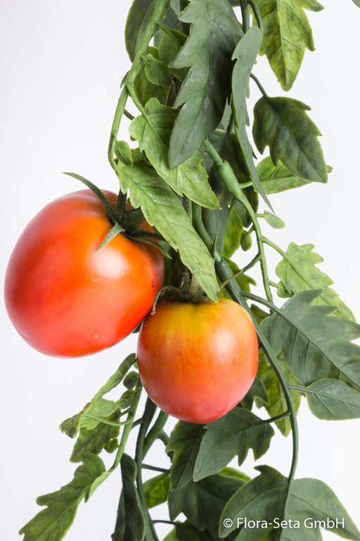 Tomatengirlande mit 16 Tomaten
