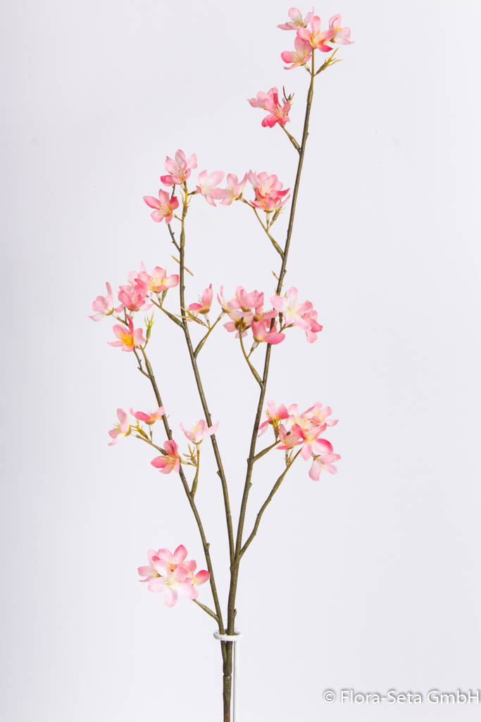 Frühlingsblütenzweig, Farbe: creme-rosa