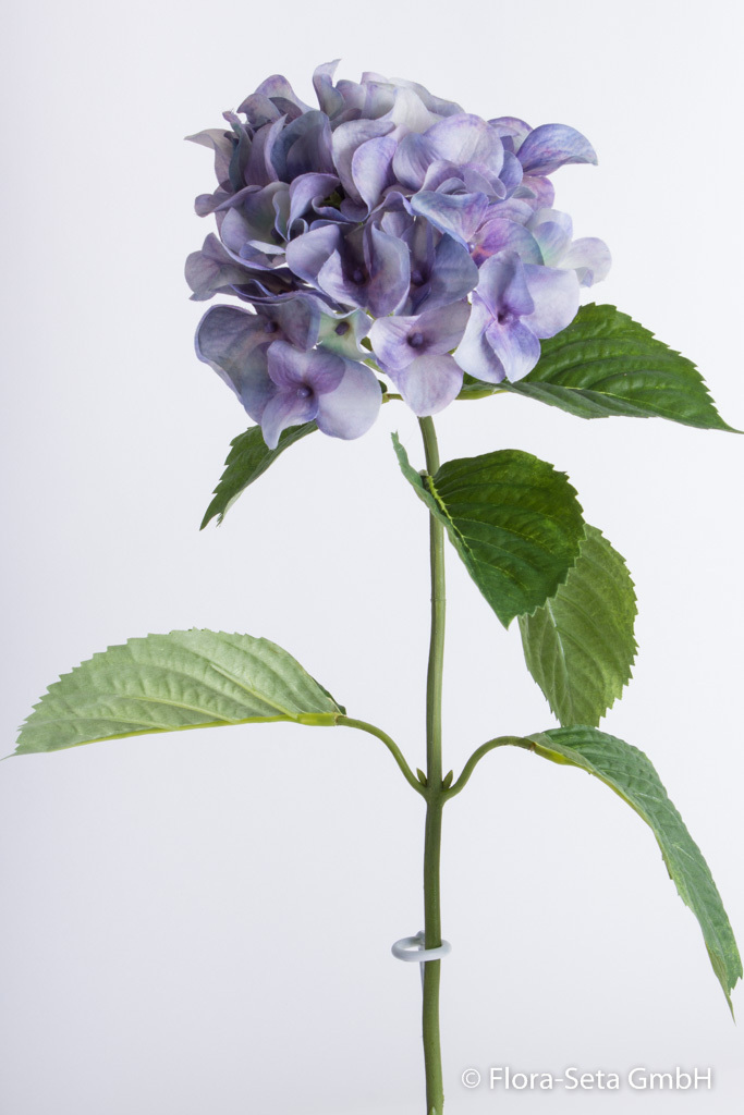 Hortensie mit 6 Blättern Farbe: antikblau-lila