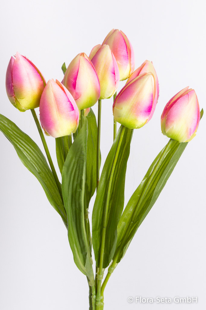 Tulpenbusch mit 9 Tulpen und Blättern Farbe: pink-creme-grün