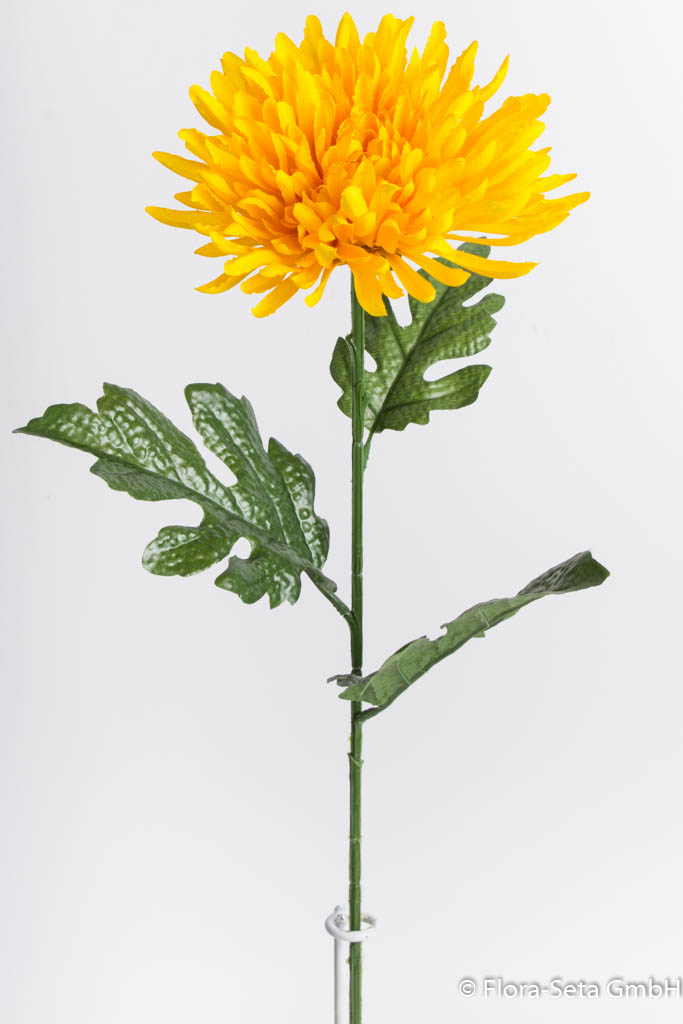Chrysantheme,  Farbe: gelb 