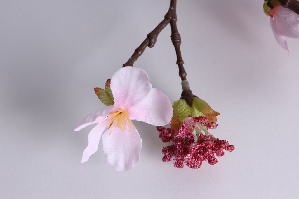 Knospenzweig mit Blüten und kleinen Blättern Farbe: hellpink/dunkelpink