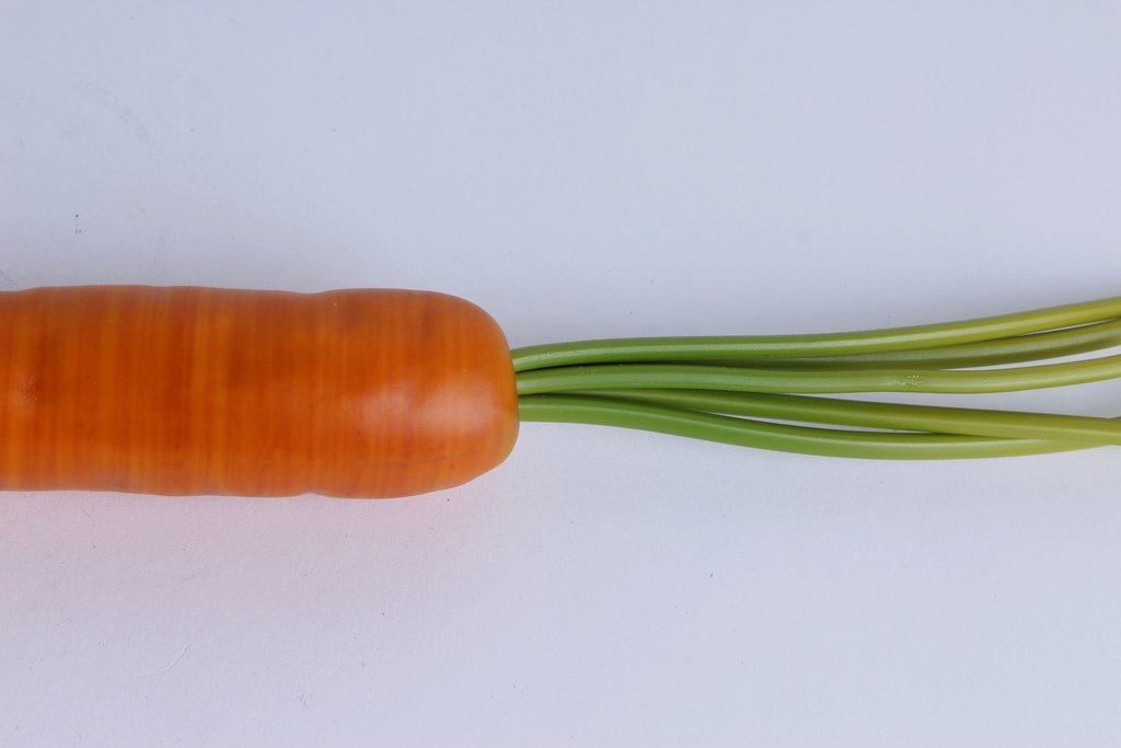 Karotte groß mit Drahtspieß