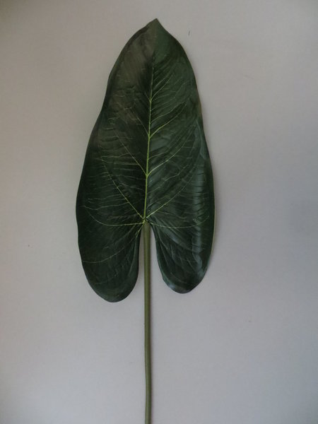 Anthurienblatt Farbe:grün, 85 cm