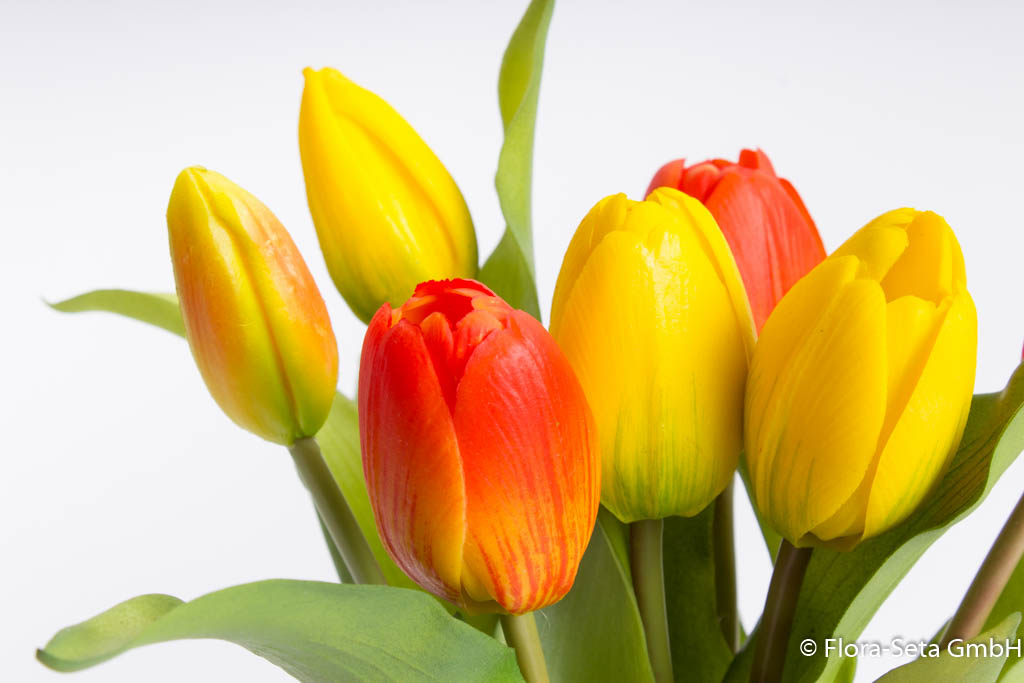 Tulpenbündel Sandy mit 4 Tulpen und 3 Tulpenknospen Farbe: gelb - orange-gelb