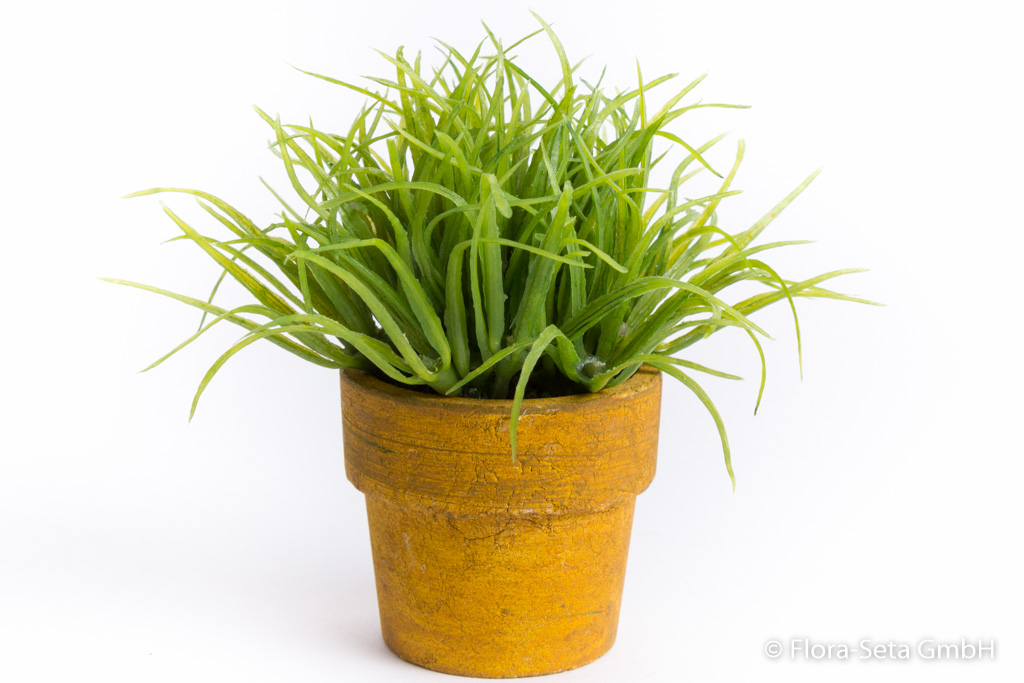 Mini-Gras in beigem Tontopf (1 Einheit = 4 Stück)