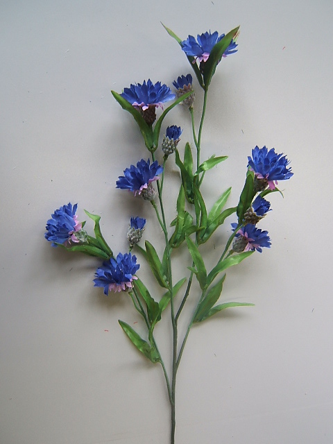 Kornblume mit 12 Blüten und 36 kleinen Blättern Farbe: blau-lila