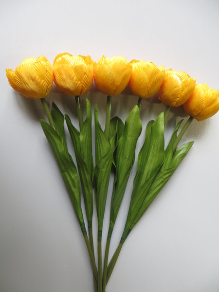 Tulpe Nova mit 2 Blättern (1 Einheit = 6 Stück) Farbe: gelb