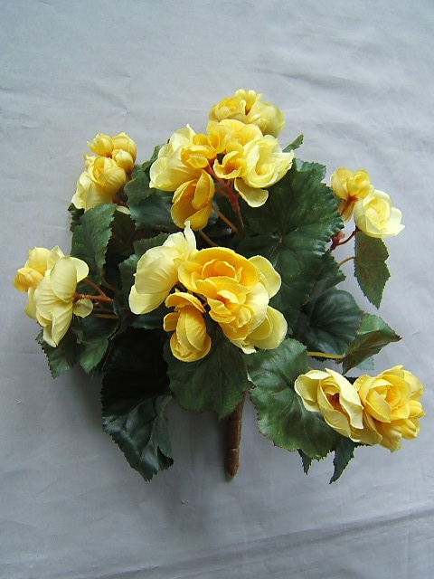 Begonienbusch mit 9 Stielen und 42 Blüten/Knospen Farbe:gelb