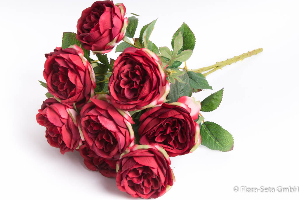 Englischer Rosenbusch mit 10 Rosen Farbe: dunkelrot