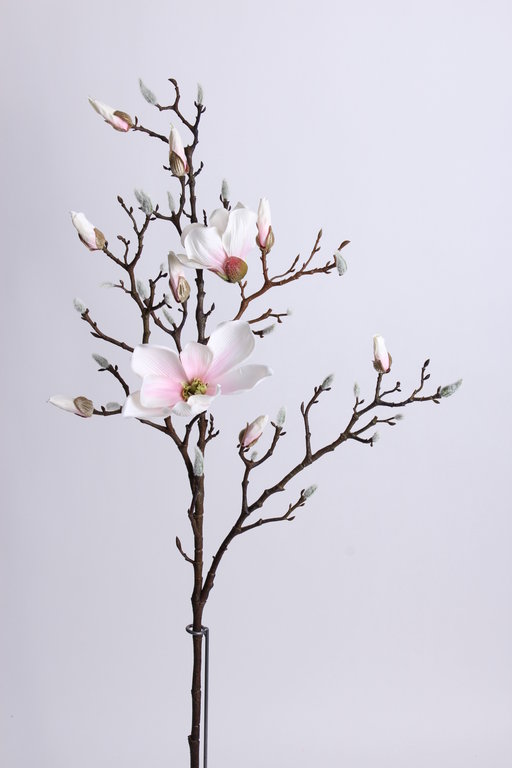 Magnolienzweig groß mit 2 Blüten und 8 Knospen Farbe: weiß-rosa