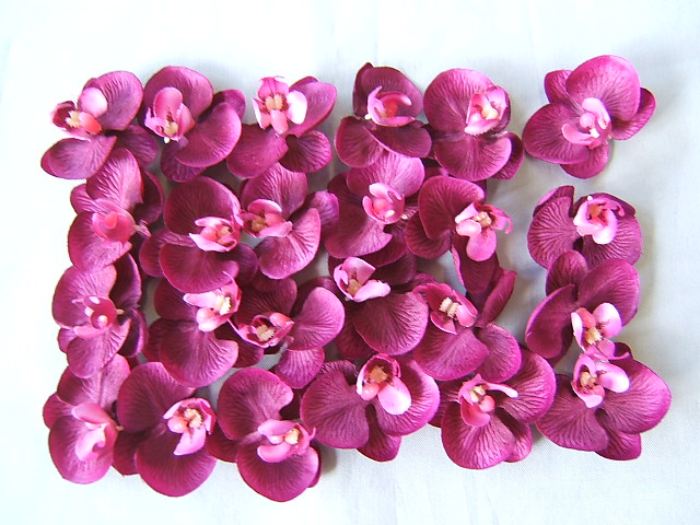 24 Orchideenblüten in Klarsichtpackung Farbe:purple