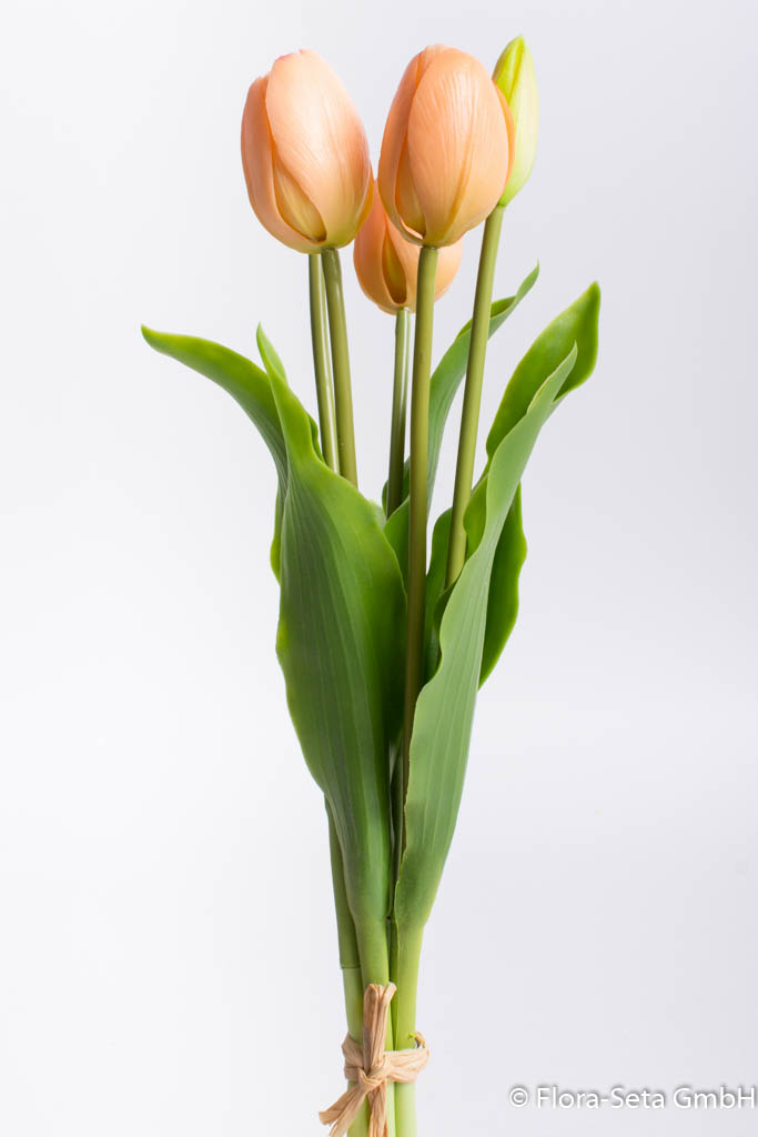 Tulpenbündel Holland mit 3 Tulpen und 2 Tulpenknospen Farbe: lachs "real Touch"