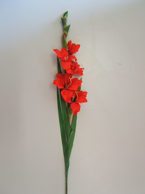 Gladiole mit 5 Blüten und 3 Blättern Farbe:rot