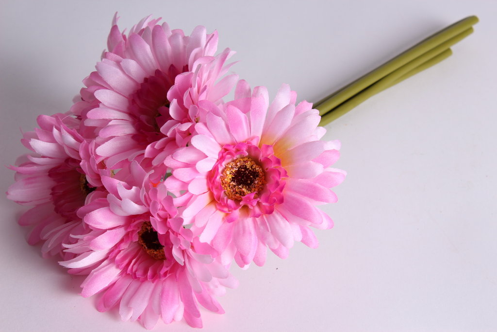 Gerberabündel mit 5 Blüten Farbe: hellrosa-pink