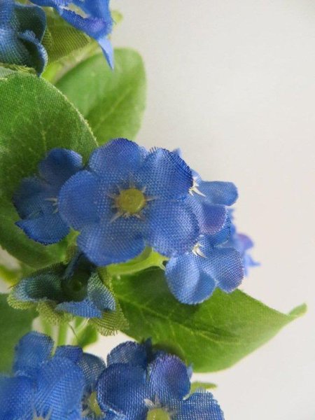 Vergißmeinnichtbusch mit 5 Blüten Farbe:blau