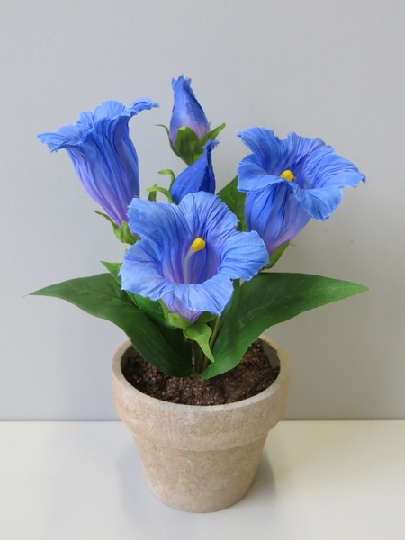 Enzian mit 3 Blüten und 2 Knospen in grau-hellbraunem Kunststofftopf Farbe:blau