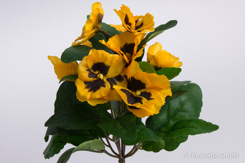 Stiefmütterchenbusch mit 9 Blüten Farbe: gelb