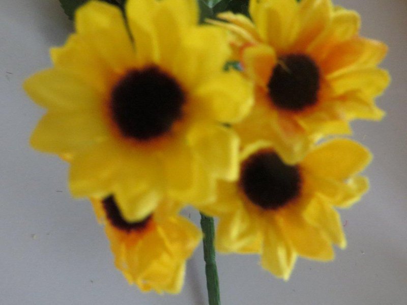 Sonnenblumenstrauß mit 7 Stielen und 28 kleinen Blüten Farbe:gelb
