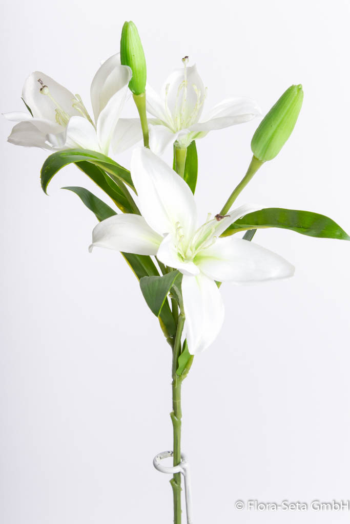 künstliche Lilie mit 3 Blüten, 1 Knospe, Farbe: creme-weiß