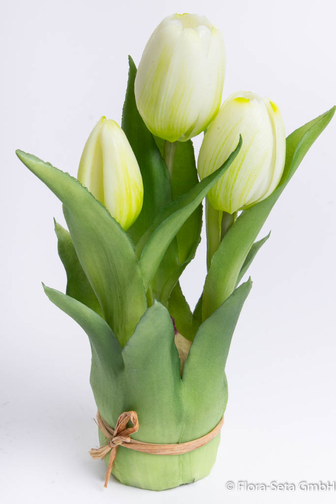 Steh-Tulpe Sally mit 2 Tulpen und 1 Tulpenknospe Farbe: creme-weiß "real Touch"