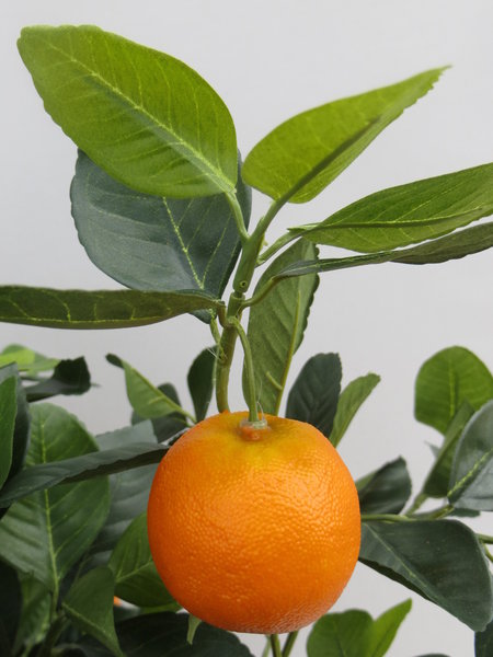 Golden-Orangenbaum mit ca. 1083 Blättern und ca. 22 Früchten im Kunststofftopf