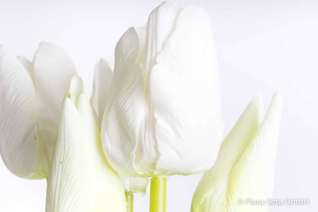 Tulpenbündel mit 3 Tulpen und 2 Tulpenknospen Farbe: creme-weiß "real touch"