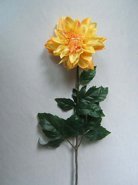 Dahlie mit 12 Blättern Farbe:gelb