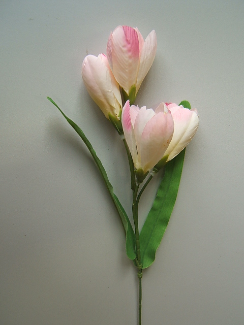 Krokuspick mit 4 Blüten und 2 Blättern Farbe:pink-creme
