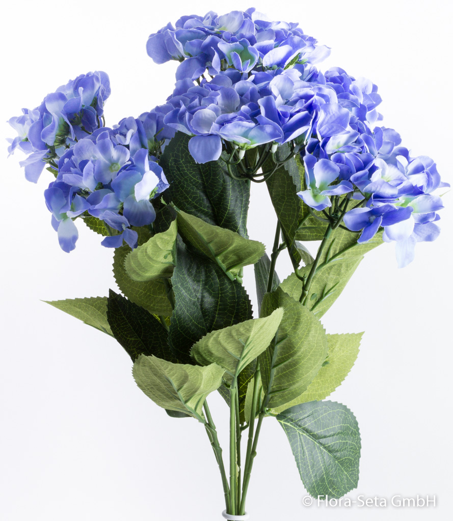 Hortensienbusch mit 7 Blüten Farbe: hellblau-blau