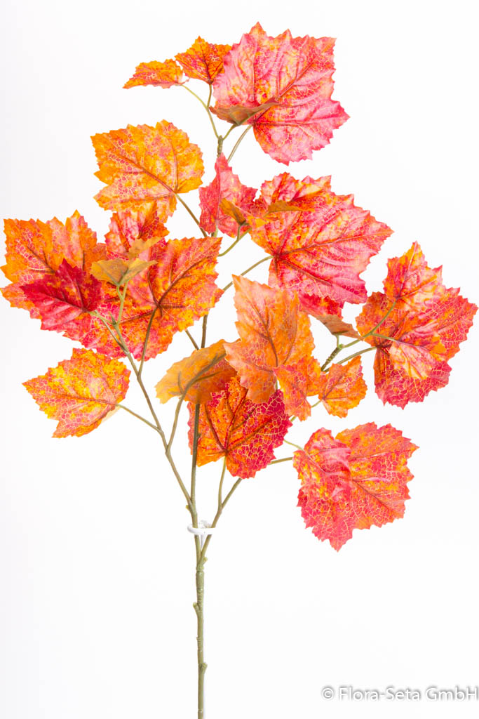 Weinlaubzweig herbstlich mit 27 Blättern Farbe: orange-braun