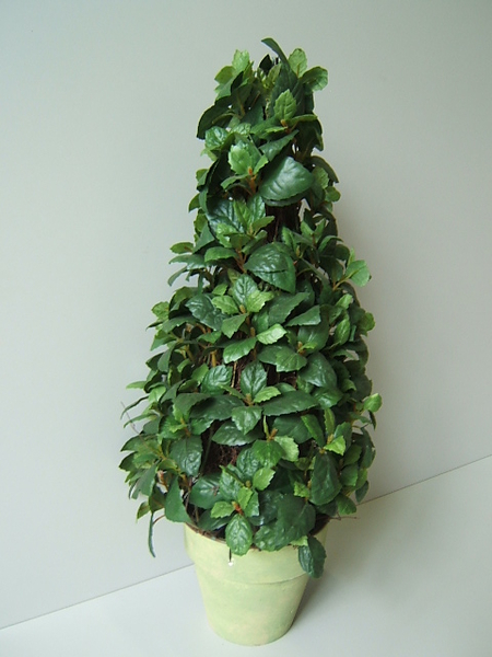 Mini Blätter Pflanze im grünen Terrakottatopf