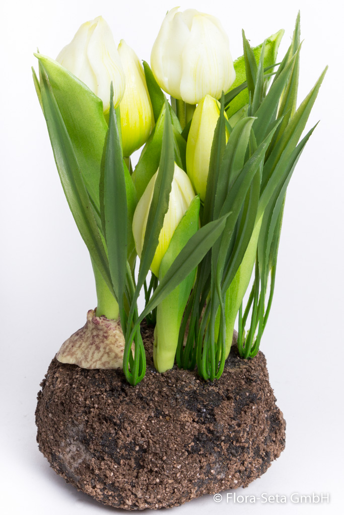 Tulpenarrangement mit Gras auf künstlichem Erdballen Farbe: creme-weiß