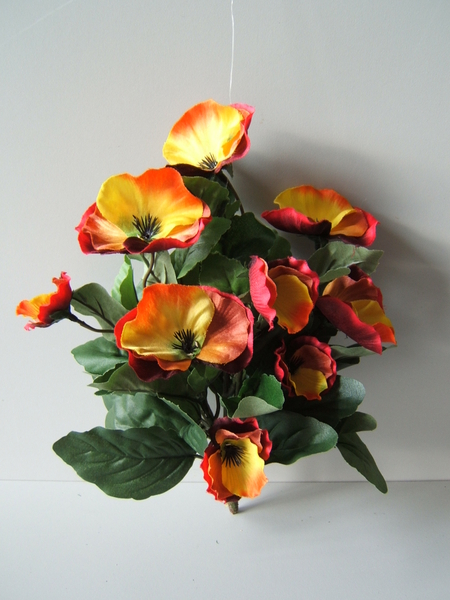 Stiefmütterchenbusch (Pansy) groß mit 9 Blüten Farbe: gelb-orange-rot