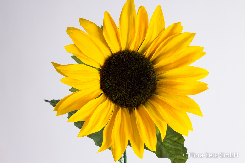 Sonnenblume mit 3 Blättern Farbe:gelb
