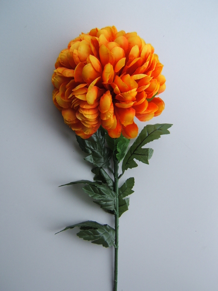 Chrysantheme XXL Farbe: orange