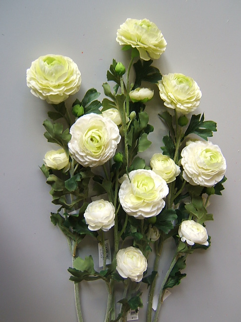 Ranunkel mit je 3 Blüten (6Stück im Bündel farblich sortiert) Farbe:creme-grün Kombination
