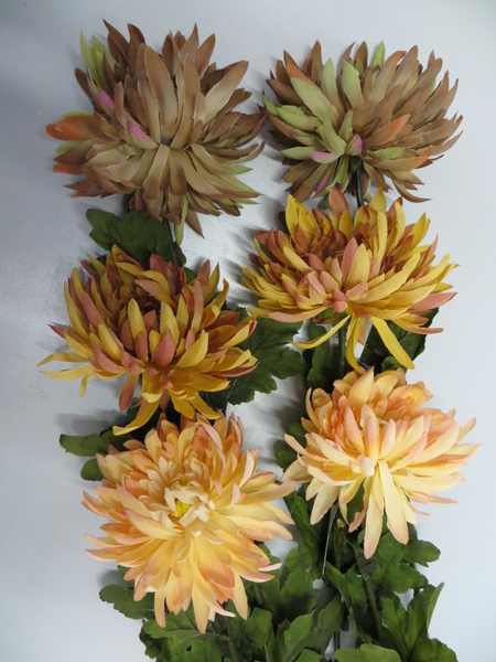 Chrysantheme mit 7 Blättern(6 St. im Bündel)Farbe:braun-grünlich-gelb-pfirsich-pink (farbl.abgest.)