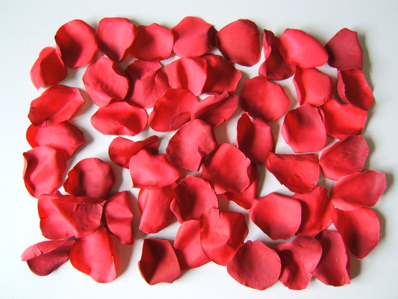 Rosenblütenblätter in Klarsichtpackung (Inhalt ca. 55 Blätter) Farbe:rot