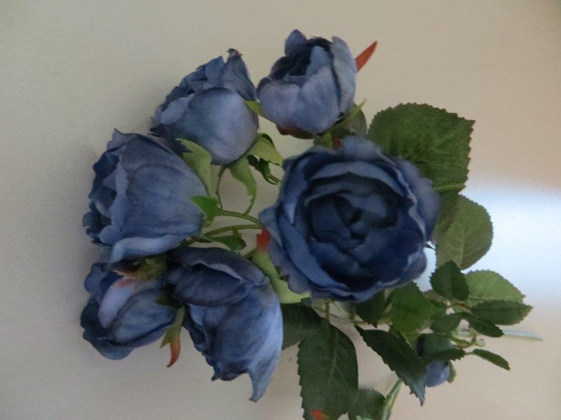Zwergröschenzweig Petit mit 11 Blüten Farbe:blau
